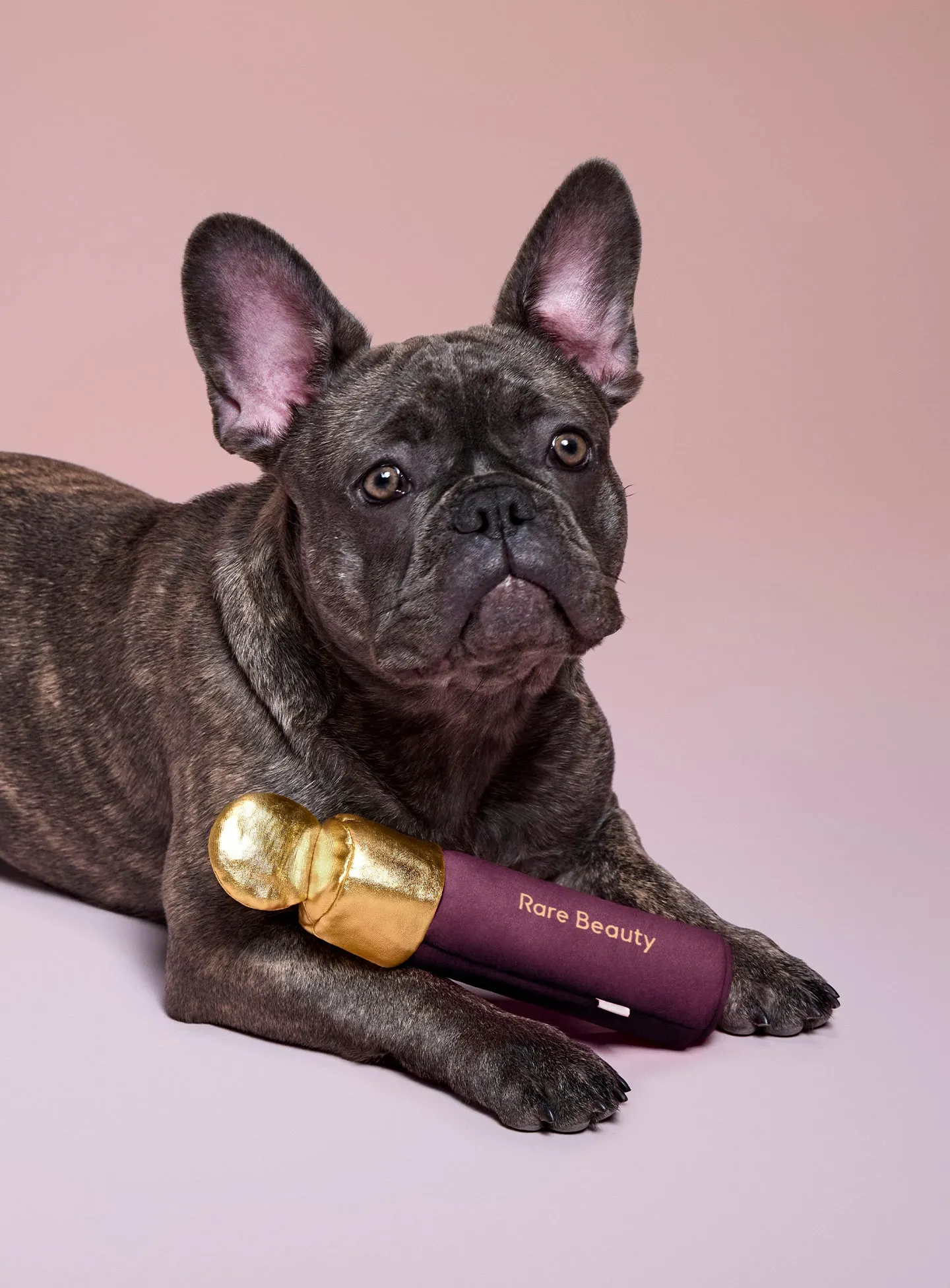 SOFT-POOCH-BLUSH-DOG-TOY-FAITH-MODEL1.webp