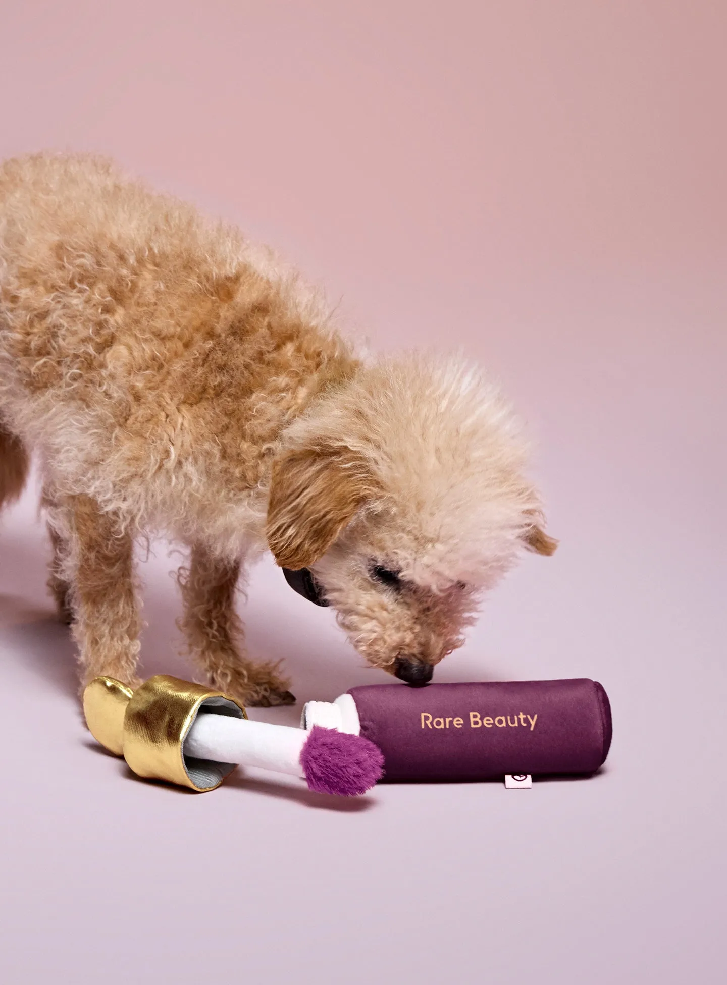 SOFT-POOCH-BLUSH-DOG-TOY-FAITH-MODEL2.webp